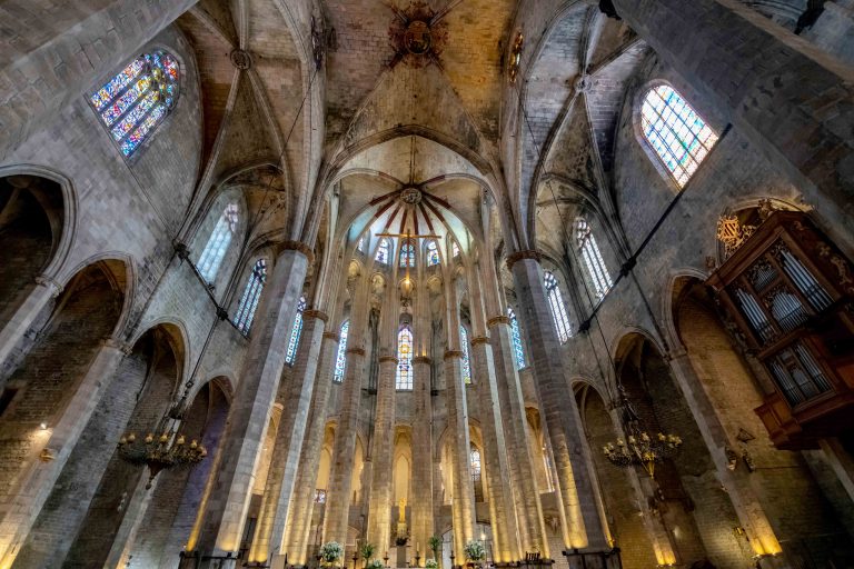 La cathédrale