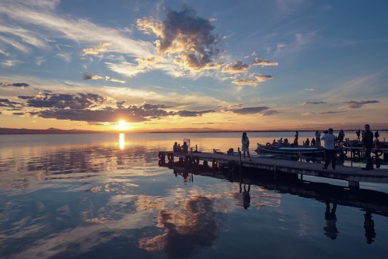 Le parc de l'Albufera
